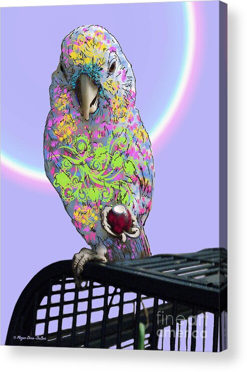 Birds Acrylic Print featuring the photograph Jawbreaker-Dandy by Megan Dirsa-DuBois