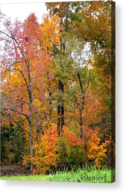 Nature Acrylic Print featuring the photograph Kentucky Colors by William Stewart