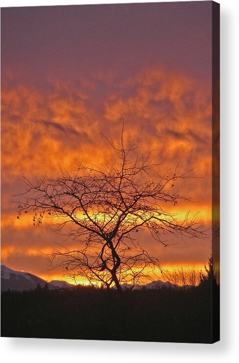Sunset Sky Clouds Tree Sky Mountains Port Townsend Washington Olympic Acrylic Print featuring the photograph Last Dance by Laurie Stewart