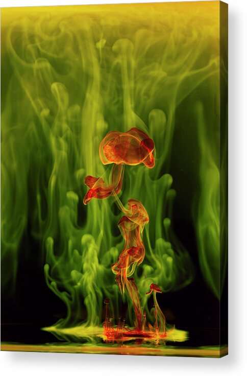 Tranquility Acrylic Print featuring the photograph Liquid Abstract by Don Farrall