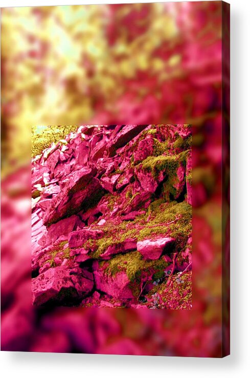 Slate Acrylic Print featuring the photograph Memory Fails Me by Laureen Murtha Menzl