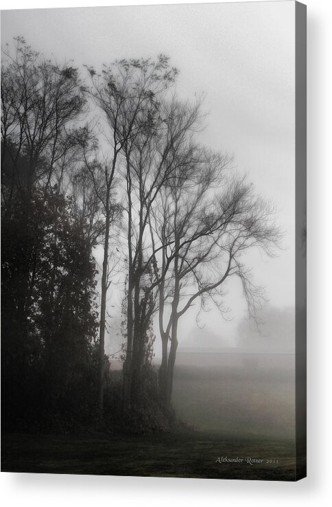 Mist Acrylic Print featuring the photograph Morning Mist by Aleksander Rotner