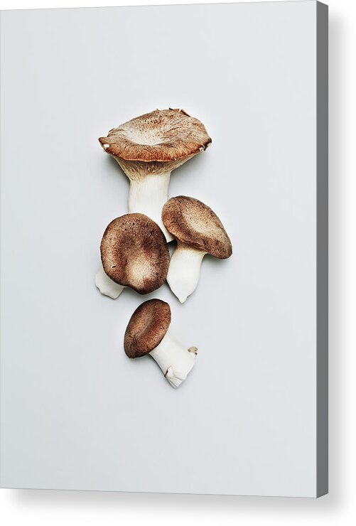 Copenhagen Acrylic Print featuring the photograph Mushrooms by Henrik Sorensen