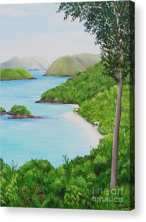 Trunk Bay Acrylic Print featuring the painting My Trunk Bay by Valerie Carpenter