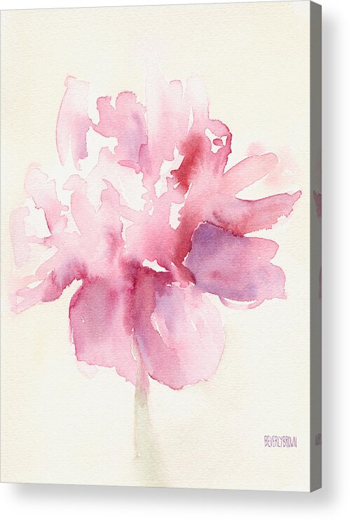 Floral Acrylic Print featuring the painting Pink Peony Watercolor Paintings of Flowers by Beverly Brown