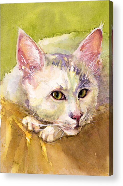 Cat Acrylic Print featuring the painting Pinky by Judith Levins