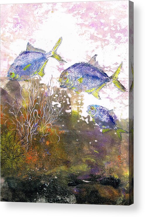 Nancy Gorr Acrylic Print featuring the mixed media Pompano Trio_verticle by Nancy Gorr