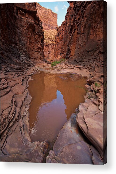 Grand Canyon Acrylic Print featuring the photograph Pool of North Canyon by Britt Runyon