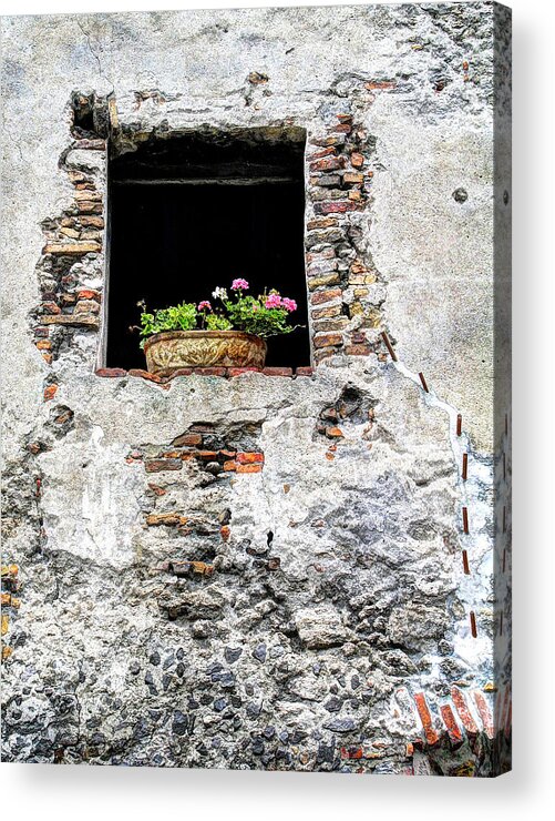 Flowers Acrylic Print featuring the photograph Puebla Window Flowers by Craig Burgwardt
