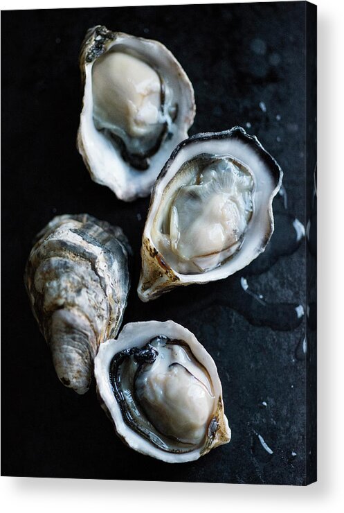 Oyster Acrylic Print featuring the photograph Raw Oysters by Jack Andersen