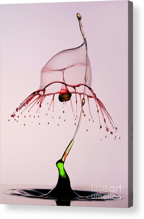Waterdrop Acrylic Print featuring the photograph Red and green by Jaroslaw Blaminsky