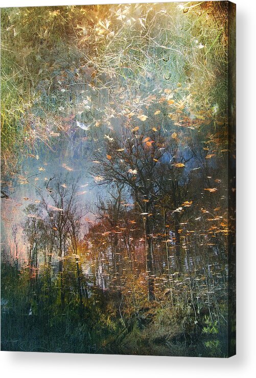 Reflection Acrylic Print featuring the photograph Reflective Waters by John Rivera