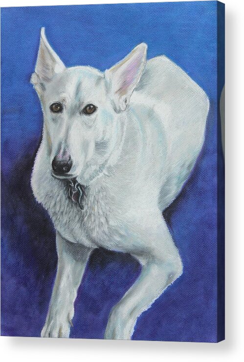 Mammal Acrylic Print featuring the painting Reno by Jeanne Fischer