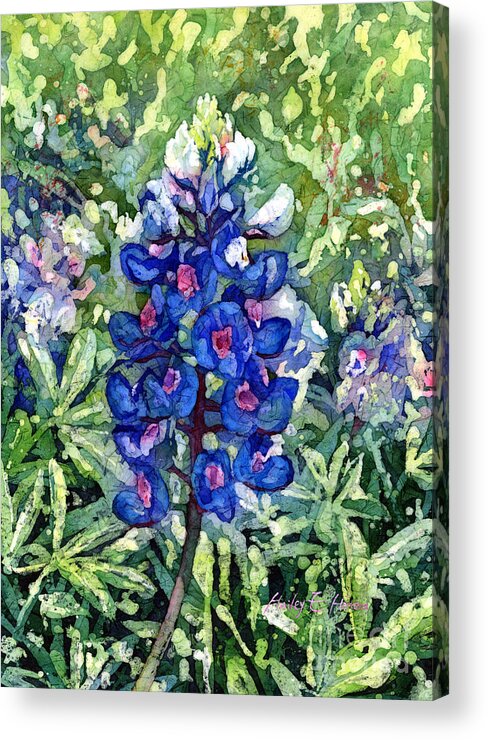Bluebonnet Acrylic Print featuring the painting Rhapsody in Blue by Hailey E Herrera