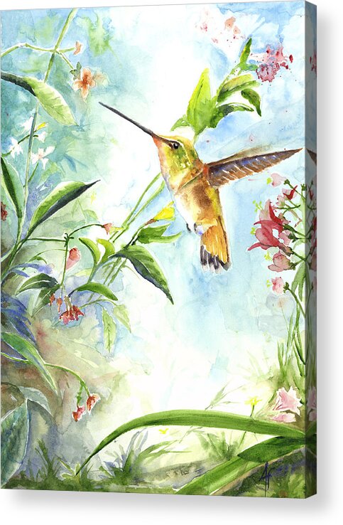Bird Acrylic Print featuring the painting Rufus Paradise by Arthur Fix