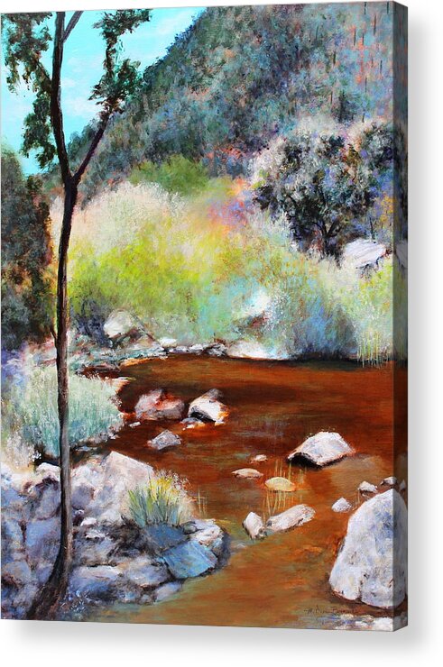 Tucson Acrylic Print featuring the painting Sabino Canyon Scenes 2 by M Diane Bonaparte