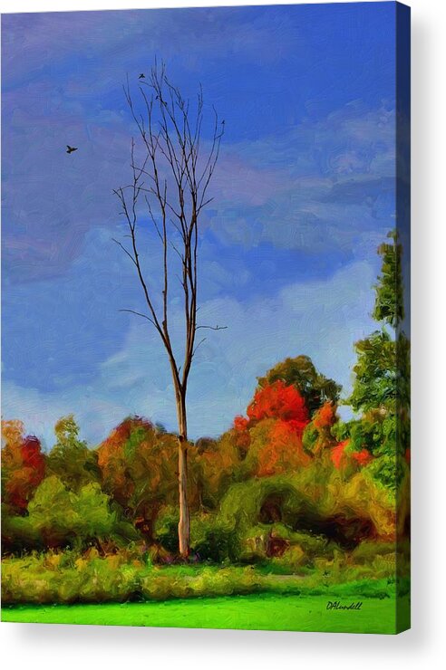 Tree Acrylic Print featuring the photograph Sentinel Tree by Dennis Lundell