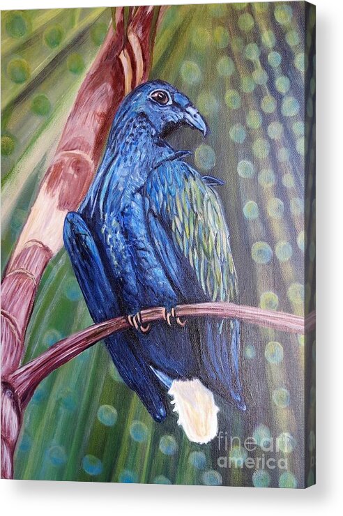 Nature Scene Blue Pigeon Nicobar Pigeon Perched On Tree Limb With Special Lighting Effects With Light Refracted Into Circles Iridescent Circles Of Light Bokeh Effects Acrylic Paintings Acrylic Print featuring the painting Showered with the Light of His Creation Cropped by Kimberlee Baxter