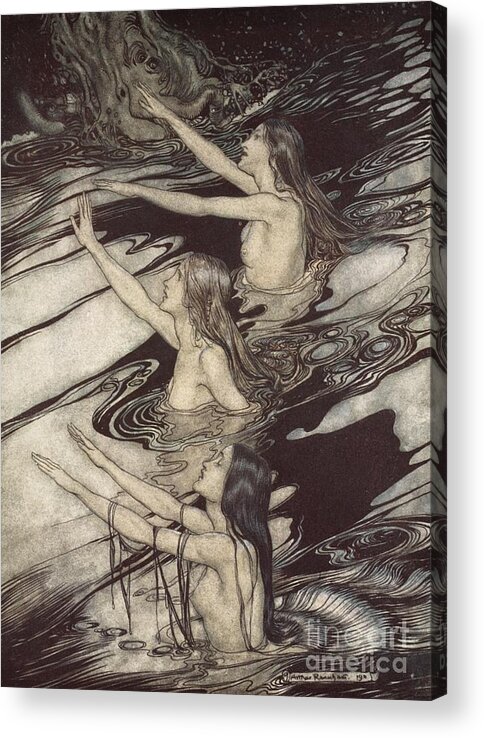 Der Ring Des Nibelungen; The Ring Of The Nibelung; Myth; Legend; Opera; The Ring Cycle; Richard Wagner; Norse Mythology; Female; Characters; Rhinemaidens; Illustration; Waving; Swimming; The Twilight Of The Gods; River Rhine; Water; Water-nymphs; Nymphs Acrylic Print featuring the drawing Siegfried Siegfried Our warning is true flee oh flee from the curse by Arthur Rackham