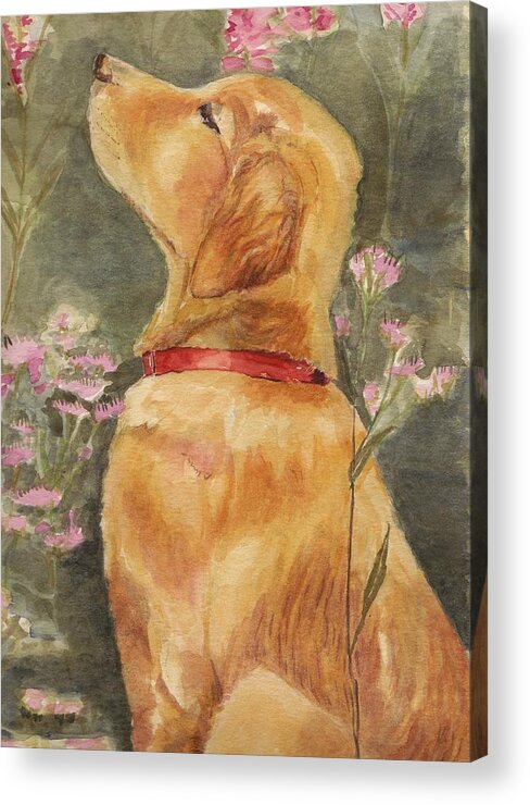 Labrador Acrylic Print featuring the painting Smell the Roses - Golden Retriever by Debra Hall