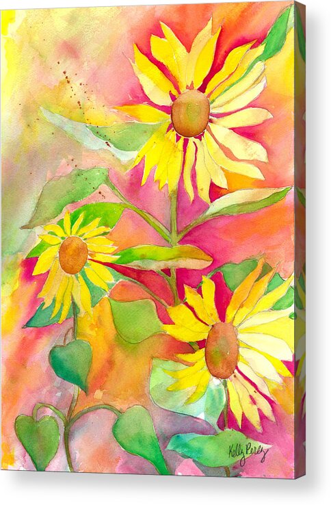 Watercolor Painting Acrylic Print featuring the painting Sunflower by Kelly Perez