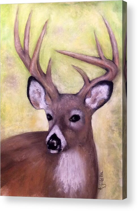 White Tailed Deer Acrylic Print featuring the painting Tennessee Wild Life - Buck by Annamarie Sidella-Felts