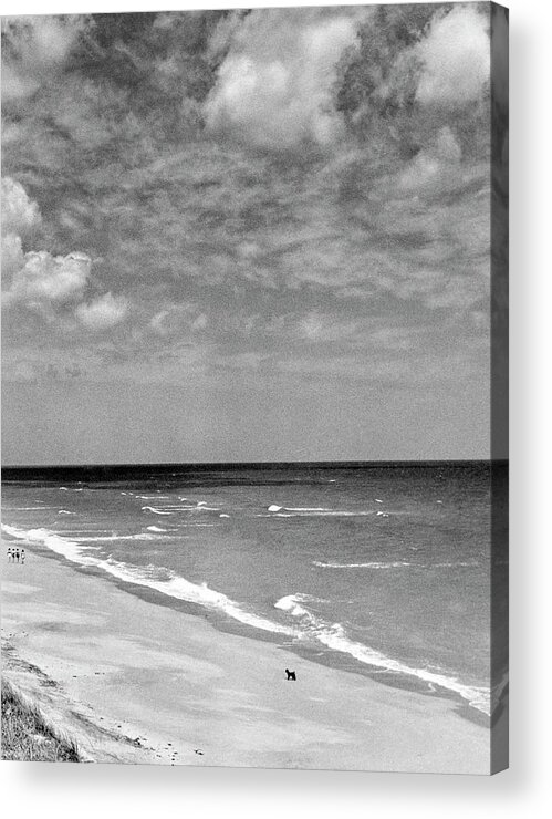 Hobe Sound Acrylic Print featuring the photograph The Beach At Hobe Island by Serge Balkin