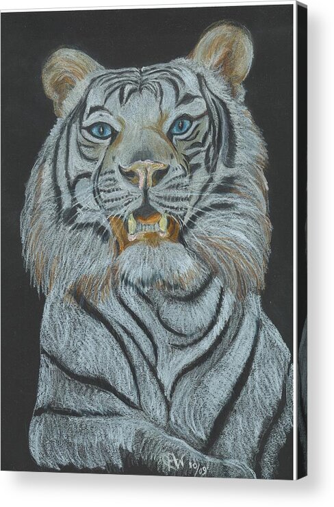 Cat Prints Acrylic Print featuring the pastel The Bengal by Carol Wisniewski