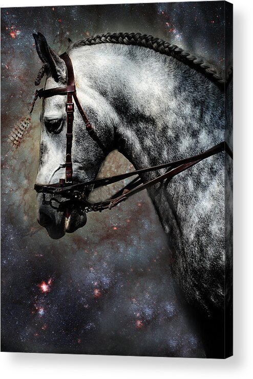 Horse Acrylic Print featuring the photograph The Horse Among the Stars by Jenny Rainbow