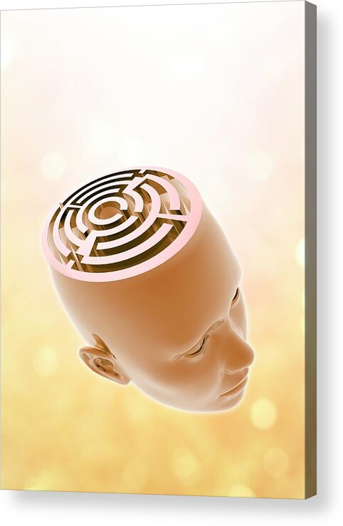 Artwork Acrylic Print featuring the photograph The Human Mind by Victor Habbick Visions