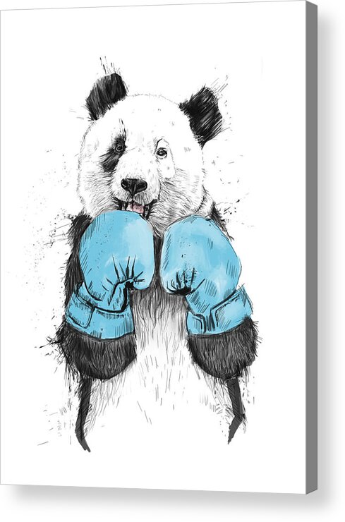 Panda Acrylic Print featuring the drawing The Winner by Balazs Solti