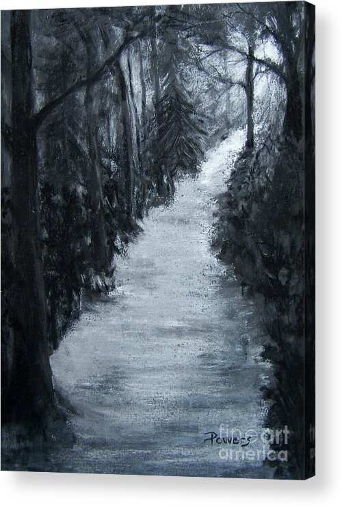 Landscape Of A Moonlit Path Through The Woods Acrylic Print featuring the drawing There at Last by Mary Lynne Powers