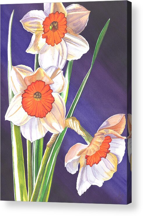 Daffodil Acrylic Print featuring the painting Three Jonquils by Catherine G McElroy