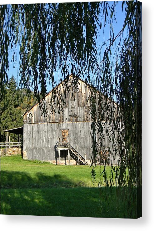 Barn Acrylic Print featuring the photograph Through the Willow Tree by Jean Goodwin Brooks