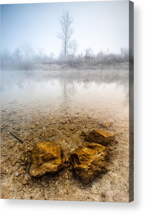 Landscapes Acrylic Print featuring the photograph Tree and rocks by Davorin Mance