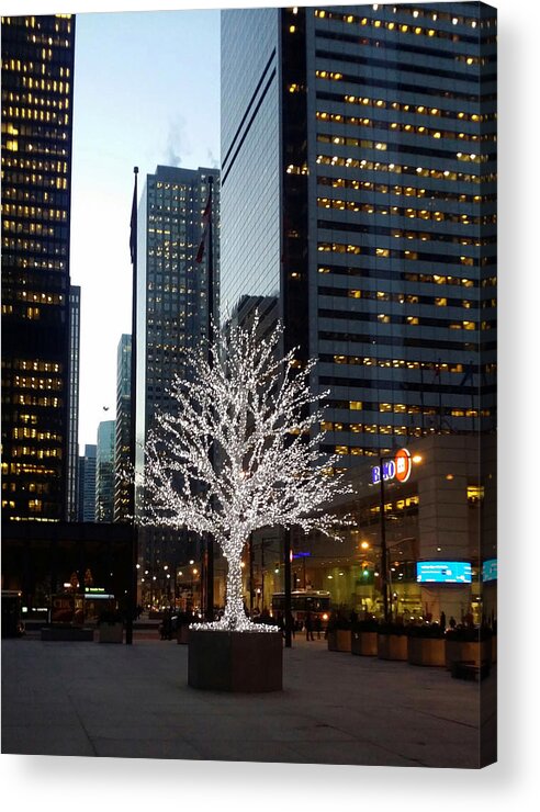 Landscape Acrylic Print featuring the photograph Tree of Lights II by Nicky Jameson