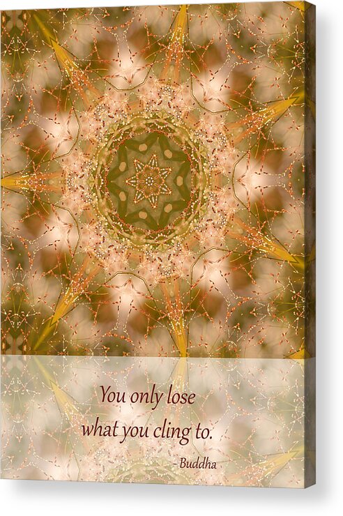 Mandala Acrylic Print featuring the photograph What You Cling To by Beth Venner