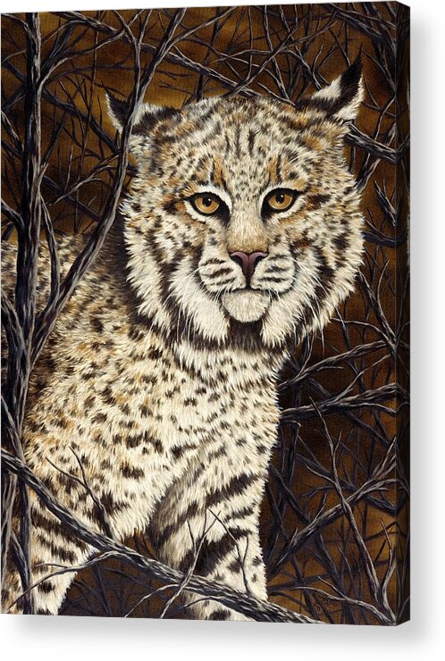 Animal Acrylic Print featuring the painting Wildcat by Rick Bainbridge