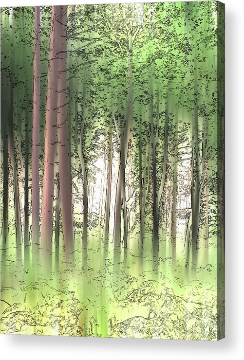 Beautiful Acrylic Print featuring the photograph Woodland Trees In Summer by Ikon Ikon Images
