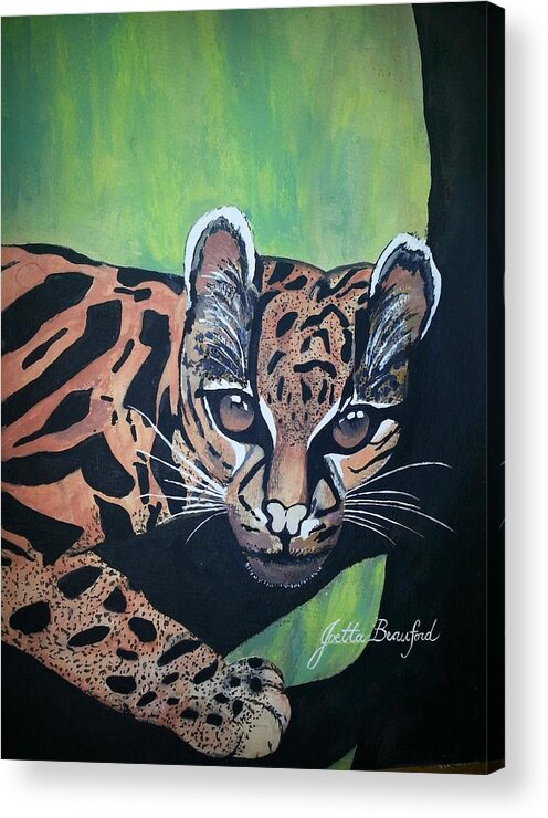 Wild Acrylic Print featuring the painting Young In Wild by Joetta Beauford