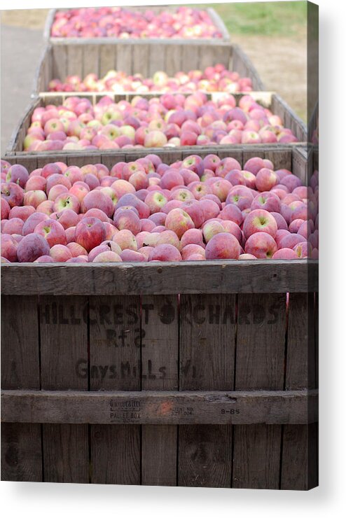 Apples Acrylic Print featuring the photograph Bountiful #2 by Linda Mishler