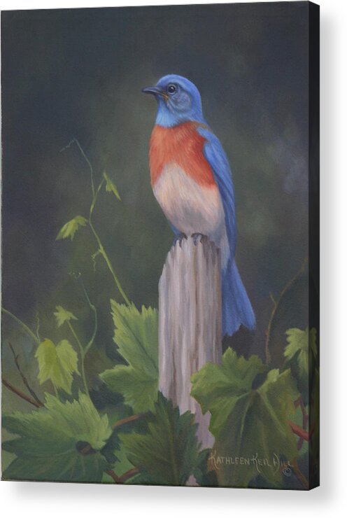 Birds Acrylic Print featuring the painting Bluebird by Kathleen Hill