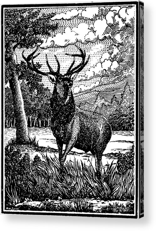 Elk From Window Glass Acrylic Print featuring the digital art Elk from glass by Howard Belz