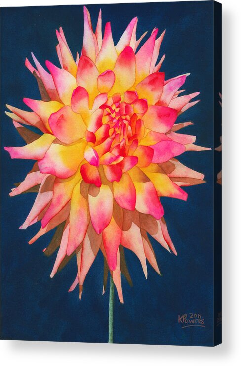 Watercolor Acrylic Print featuring the painting Exploding Lollipop Dahlia by Ken Powers