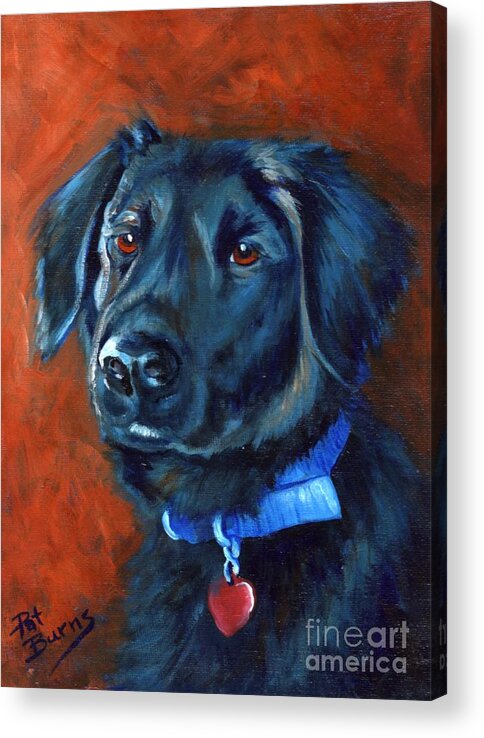 Dog Acrylic Print featuring the painting Gabby by Pat Burns