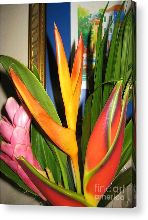 Bird Of Paradise Acrylic Print featuring the photograph He Gave Me Paradise by Judy Via-Wolff