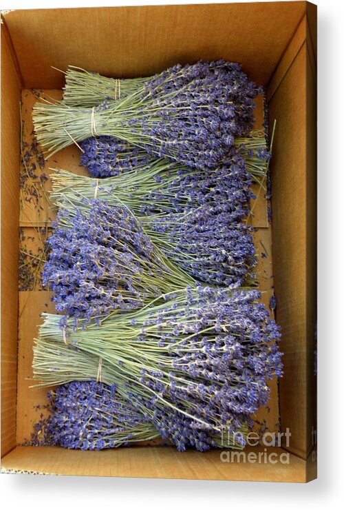 Lavender Acrylic Print featuring the photograph Lavender Bundles by Lainie Wrightson