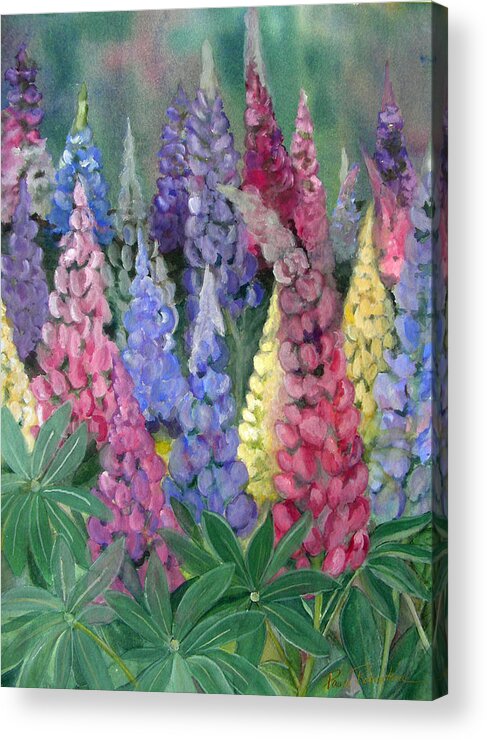 Flowers Acrylic Print featuring the painting Lupines by Paula Robertson