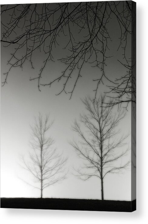 Fog Acrylic Print featuring the photograph Outstretched Limbs by Rod Kaye