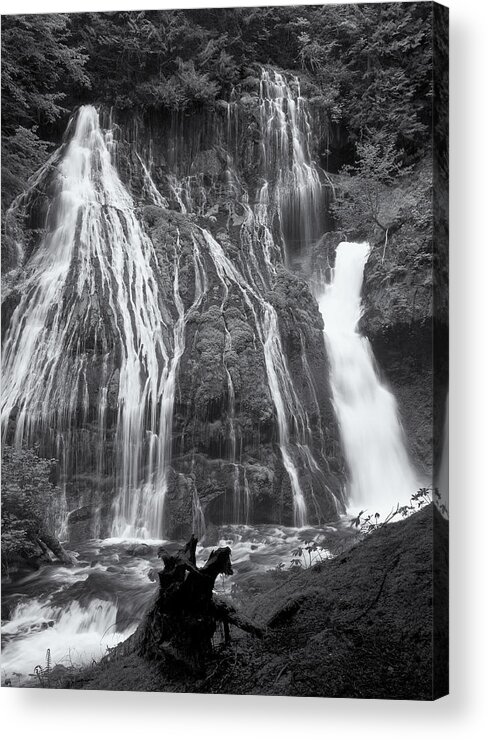 Waterfall Acrylic Print featuring the photograph Panther Creek Falls 2 by Jon Ares